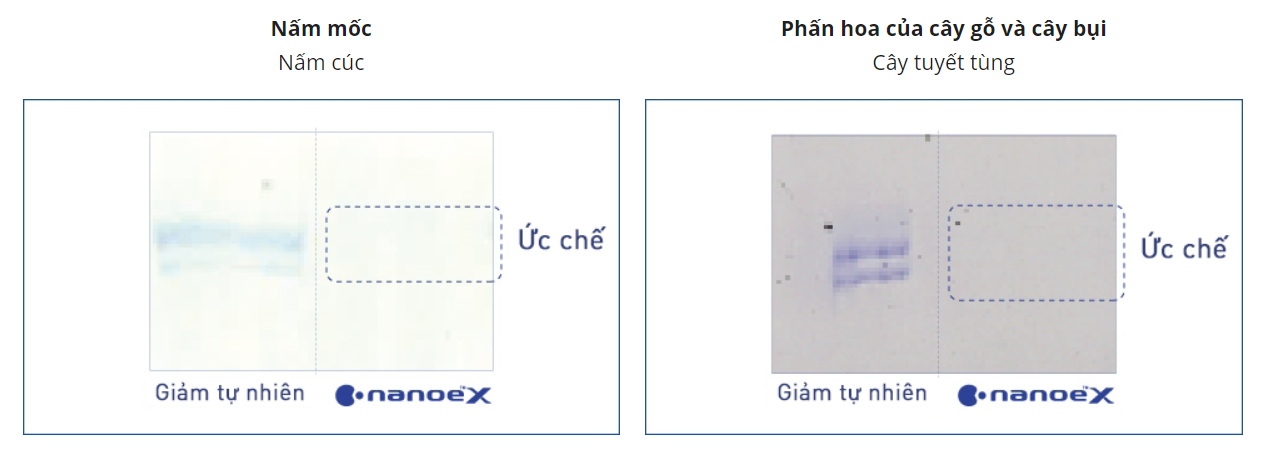 ĐIỀU HÒA TRUNG TÂM